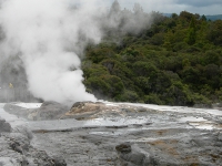 NewZealand: image 1 0f 5 thumb