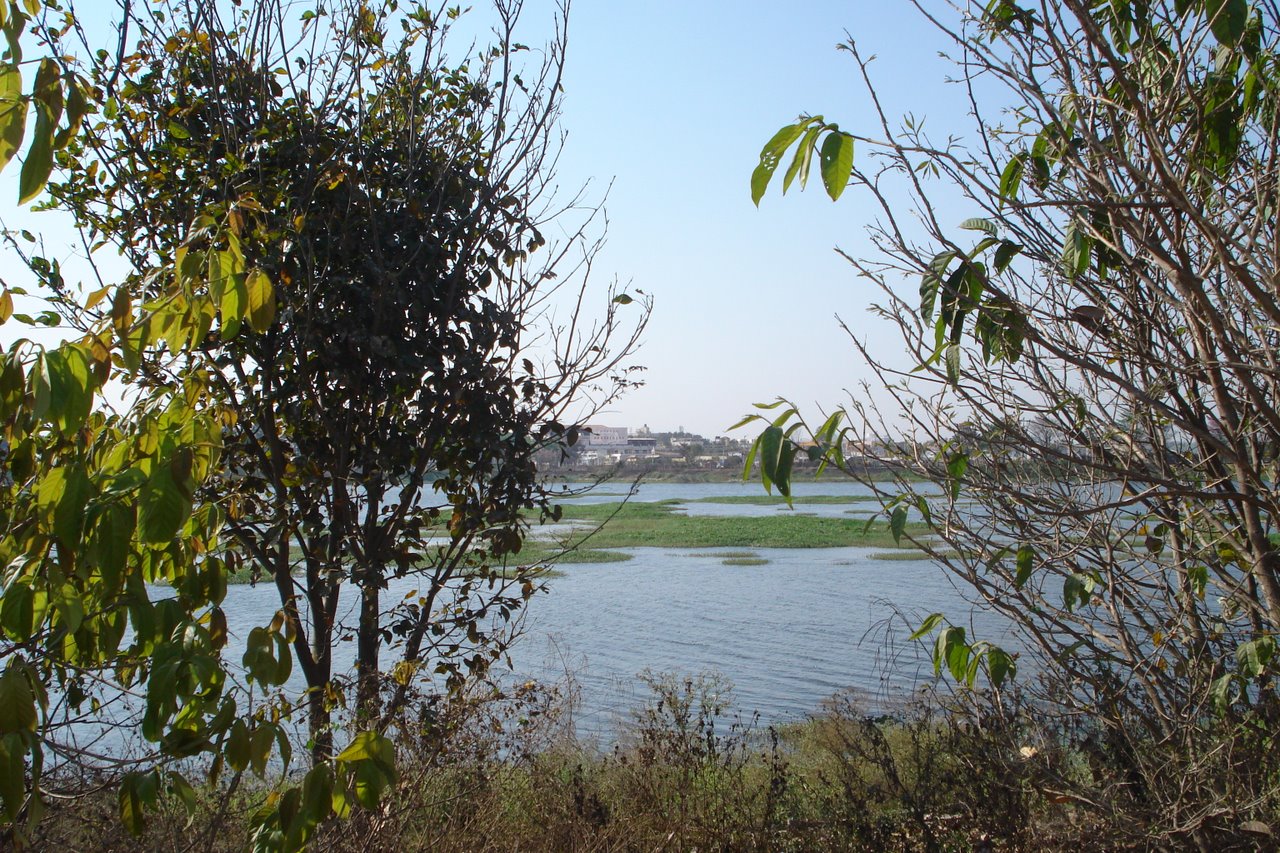 Jakkasandra Lake, Bengalore, Bengaluru, India