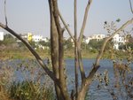 jakkasandra_lake