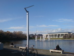 ucd