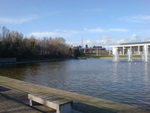 ucd