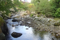 wild_wicklow