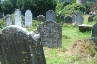 wild_wicklow