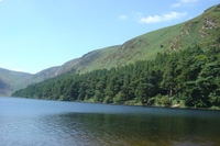 wild_wicklow