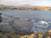 campello