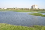 jakkasandra_lake