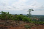 manipal