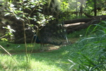 mysore