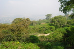 mysore