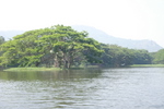mysore