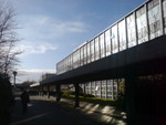 ucd