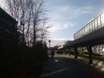 ucd