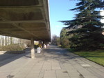 ucd