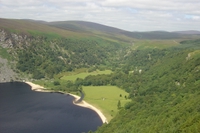 wild_wicklow