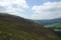 wild_wicklow