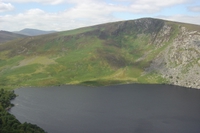 wild_wicklow
