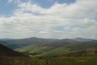 wild_wicklow