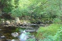 wild_wicklow