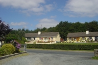 wild_wicklow