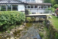 wild_wicklow