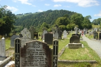 wild_wicklow